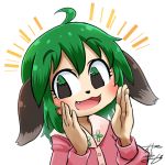  1girl ahoge animal_ears avatar_icon chamaji close-up commentary dog_ears eyebrows_visible_through_hair fang green_eyes green_hair hair_between_eyes hands_up kasodani_kyouko long_sleeves looking_at_viewer lowres open_mouth short_hair signature simple_background solo touhou upper_body white_background 