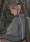  1girl back bamboo bamboo_forest braid fkey forest grey_hair hair_ornament highres long_hair nature original solo violet_eyes 