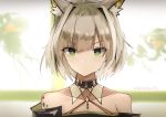  1girl animal_ear_fluff animal_ears arknights bare_shoulders cat_ears choker closed_mouth collarbone copyright_name cuy7 detached_collar expressionless eyebrows_visible_through_hair eyelashes green_eyes jewelry kal&#039;tsit looking_at_viewer off_shoulder pendant portrait short_hair silver_hair solo 