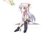  asymmetrical_clothes mahou_shoujo_lyrical_nanoha mahou_shoujo_lyrical_nanoha_strikers minigirl one_thighhigh reinforce_zwei sch single_thighhigh thighhighs whiskers 