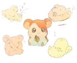  :3 animal_focus blue_eyes closed_eyes commentary_request food hamster hamtaro hamtaro_(series) hano_luno highres holding holding_food lying on_back running sitting sleeping whiskers zzz 