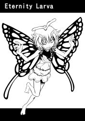  1girl antennae ayana_mizuki bags_under_eyes barefoot butterfly_wings character_name commentary_request dress eternity_larva full_body greyscale highres insect_wings leaf_print looking_at_viewer monochrome open_mouth print_dress ringed_eyes short_hair sleeveless sleeveless_dress smile solo touhou wings 