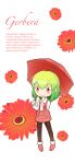  busou-toybox flower gerbera green_hair highres kazami_yuuka plaid plaid_skirt plaid_vest red_eyes skirt touhou umbrella vest 