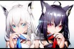  2girls ahoge animal_ears black_hair blue_eyes braid collar_tug dual_persona earrings fenrir_(fenlil0316) fox_ears fox_girl gradient gradient_background highres hololive jewelry kurokami_fubuki multiple_girls red_eyes shirakami_fubuki symmetry transparent upper_body virtual_youtuber white_hair 