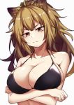  1girl absurdres animal_ear_fluff animal_ears arknights bangs bare_arms bare_shoulders bikini black_bikini blz_buluozhang breasts brown_eyes brown_hair collarbone commentary crossed_arms eyebrows_visible_through_hair head_tilt highres large_breasts lion_ears long_hair looking_at_viewer siege_(arknights) simple_background solo swimsuit upper_body white_background 