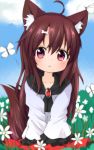  1girl :&lt; ahoge animal_ear_fluff animal_ears blue_sky bone_hair_ornament brooch brown_hair bug butterfly chinoru clouds day eyebrows_visible_through_hair flower frilled_sleeves frills grass hair_between_eyes highres imaizumi_kagerou insect jewelry long_hair long_sleeves red_eyes red_skirt skirt sky solo tail touhou wolf_ears wolf_tail younger 