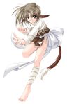  animal_ears bandages barefoot brown_eyes brown_hair byakko feet fighting_stance grey_hair highres izumo izumo_tales leg_lift orange_eyes short_hair solo tail yamamoto_kazue 