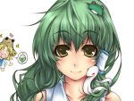  blonde_hair eyes food frog green_hair hat kochiya_sanae long_hair moriya_suwako okina_togo rice serizawa_mutsuki short_hair smile snake touhou 