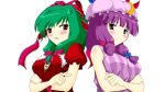  green_hair hat kagiyama_hina patchouli_knowledge purple_hair ribbon ribbons touhou tsuki_hana 