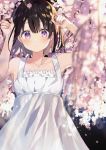  1girl arms_up bare_shoulders blurry blush branch brown_hair cherry_blossoms collarbone dress eyebrows_visible_through_hair hair_between_eyes highres holding_petal looking_at_viewer original parted_lips petals short_hair sleeveless solo standing violet_eyes white_dress wind yushima 
