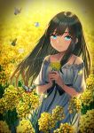  1girl alternate_costume asashio_(kantai_collection) bangs black_hair blue_eyes blush bracelet bug butterfly dress eyebrows_visible_through_hair field flower flower_field holding holding_flower insect jewelry kantai_collection kyon_(fuuran) long_hair smile solo white_dress yellow_flower 