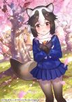  3girls animal_ear_fluff animal_ears bangs black_gloves black_hair black_legwear blonde_hair blue_skirt blush brown_eyes cat_ears cat_tail cherry_blossoms commentary_request day envelope ezo_red_fox_(kemono_friends) fox_ears fox_tail fuji_choko fur-trimmed_sleeves fur_collar fur_trim glasses gloves grass green_eyes hair_between_eyes japari_symbol kemono_friends kemono_friends_3 long_hair long_sleeves margay_(kemono_friends) multicolored_hair multiple_girls official_art orange_eyes outdoors pantyhose peeking_out petals pleated_skirt raccoon_ears raccoon_tail school_uniform serafuku short_hair skirt tail tanuki_(kemono_friends) tree two-tone_hair very_long_hair white_hair 