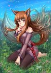  1girl absurdres adsouto animal_ears anklet barefoot blush breasts brown_hair capri_pants field flower grass highres holo huge_filesize jewelry long_hair looking_at_viewer medium_breasts nature paid_reward pants patreon_reward petals red_eyes smile soles solo spice_and_wolf tail wolf_ears wolf_girl wolf_tail 