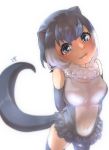  1girl animal_ears arms_behind_back artist_logo bangs bare_shoulders breasts brown_eyes commentary_request covered_navel detached_collar elbow_gloves extra_ears eyebrows_visible_through_hair fur_collar gloves grey_gloves grey_hair head_tilt highres kemono_friends kneehighs lips looking_at_viewer multicolored_hair one-piece_swimsuit otter_ears otter_tail parted_lips short_hair simple_background small-clawed_otter_(kemono_friends) smile solo standing swimsuit tail thin_(suzuneya) two-tone_hair white_background white_hair 