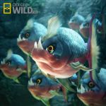  absurdres carvanha commentary creature english_commentary fish fish_focus gen_3_pokemon highres no_humans pokemon pokemon_(creature) sebastian_montecinos sharp_teeth teeth underwater water yellow_eyes 