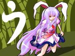  bunny_ears kasaiji long_hair purple_hair rabbit_ears reisen_udongein_inaba skirt touhou 