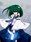  green_hair hibari_yama japanese_clothes kochiya_sanae long_hair miko snake touhou 