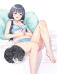  1girl :d animal artist_name bangs barefoot bed_sheet black_hair blue_bra blue_panties blunt_bangs bow bow_bra bow_panties bra breasts cat cellphone collarbone eyebrows_visible_through_hair feet hair_bobbles hair_ornament hair_over_shoulder hands_up highres holding holding_phone knees_up long_hair looking_at_viewer open_mouth original panties phone pillow signature skyrail small_breasts smartphone smile solo twintails underwear underwear_only violet_eyes 