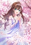  1girl :d aqua_eyes bangs blurry blurry_background braid brown_hair cherry_blossoms collarbone crown_braid dress eyebrows_visible_through_hair floating_hair flower hair_between_eyes highres long_dress long_hair necocafe_lili off-shoulder_dress off_shoulder open_mouth original outdoors pink_flower see-through shiny shiny_hair smile solo sparkle spring_(season) standing very_long_hair white_dress 