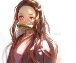  1girl artist_name asa_no_ha_(pattern) backlighting bamboo bit_gag black_hair dal_li_0130 expressionless forehead gag hair_ribbon haori highres japanese_clothes kamado_nezuko kimetsu_no_yaiba kimono korean_commentary long_hair looking_at_viewer multicolored_hair orange_hair pink_eyes pink_kimono pink_ribbon ribbon simple_background solo twitter_username two-tone_hair upper_body white_background 