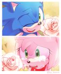  1boy 1girl amy_rose animal_ears artist_name crying crying_with_eyes_open derivative_work dress flower green_eyes hedgehog hedgehog_ears highres isa-415810 nature one_eye_closed open_mouth pink_fur rose screencap smile snout sonic sonic_the_hedgehog sonic_x tears teeth tree 