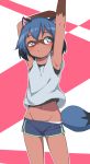  1girl animal_ears armpits arms_up blue_hair blue_shorts brand_new_animal brown_eyes bubukka furry groin kagemori_michiru midriff navel panties panty_peek raccoon_ears raccoon_tail short_hair short_shorts shorts solo stretch tail tank_top underwear white_panties white_tank_top 