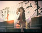  1girl artist_name black_hair black_jacket dress fence gen_8_pokemon green_eyes hari611 highres jacket long_sleeves mary_(pokemon) morpeko morpeko_(full) outdoors pink_dress pokemon pokemon_(creature) pokemon_(game) pokemon_swsh short_hair standing sunset 