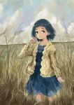  1girl absurdres adjusting_hair aran_sweater bangs blue_dress blue_eyes blue_hair blunt_bangs bob_cut cable_knit cardigan clouds cloudy_sky commentary cowboy_shot dress field hair_strand highres huge_filesize idolmaster idolmaster_cinderella_girls k6tetsu light_smile looking_at_viewer okazaki_yasuha overcast raised_eyebrows short_hair sky solo sweater tall_grass tan_sweater wind 