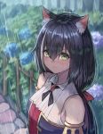  1girl animal_ear_fluff animal_ears bangs bare_shoulders black_hair blush cat_ears cat_girl closed_mouth commentary_request day detached_sleeves eyebrows_visible_through_hair fence flower gomashiwo_o green_eyes hair_between_eyes hair_ribbon hydrangea karyl_(princess_connect!) long_hair looking_at_viewer low_twintails multicolored multicolored_clothes outdoors princess_connect! princess_connect!_re:dive rain red_ribbon ribbon solo twintails upper_body v-shaped_eyebrows very_long_hair wooden_fence 