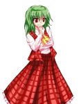  green_hair kazami_yuuka long_skirt plaid plaid_skirt plaid_vest red_eyes ribbon ribbons short_hair skirt skirt_set tartan touhou 