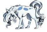  beta_pokemon commentary creature english_commentary full_body looking_at_viewer no_humans pokemon pokemon_(creature) pokemon_(game) pokemon_gsc pokemon_gsc_beta prototype solo standing sui_(suicune) tied_hair transparent_background 