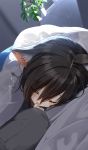  1girl animal_ear_fluff animal_ears bangs black_hair blush cat_ears closed_eyes commentary_request eyebrows_visible_through_hair futon hair_between_eyes hand_up highres indoors lying on_side original parted_lips pentagon_(railgun_ky1206) plant potted_plant sleeping solo under_covers 