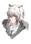  1boy animal_ears arknights bangs black_jacket black_neckwear closed_mouth collared_shirt commentary_request cropped_torso dokomon eyebrows_visible_through_hair fur_trim grey_eyes grey_hair hair_between_eyes highres jacket korean_commentary leopard_ears looking_at_viewer male_focus multicolored_hair necktie shirt silverash_(arknights) simple_background sketch solo two-tone_hair white_background white_shirt 