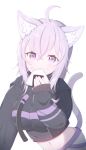  1girl :3 absurdres ahoge animal_ear_fluff animal_ears bangs black_hoodie blush breasts cat_ears cat_girl cat_tail closed_mouth commentary_request drawstring eyebrows_visible_through_hair food food_on_face hair_between_eyes highres holding holding_food hololive hood hood_down hoodie long_hair long_sleeves looking_at_viewer medium_breasts midriff navel nekomata_okayu onigiri pants purple_hair rice rice_on_face simple_background sleeves_past_wrists smile solo starfox1015 tail tail_raised violet_eyes virtual_youtuber white_background white_pants 
