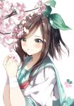  1girl absurdres bangs blue_sailor_collar blurry blurry_background blush brown_eyes brown_hair cherry_blossoms commentary_request depth_of_field flower green_ribbon grin hair_ribbon hands_up highres holding holding_flower long_hair looking_at_viewer original pentagon_(railgun_ky1206) pink_flower ribbon sailor_collar school_uniform serafuku shirt short_sleeves simple_background smile solo swept_bangs tree_branch upper_body white_background white_shirt 