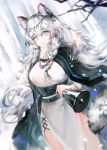  1girl animal_ear_fluff animal_ears arknights bangs bell black_cloak blue_eyes blurry blurry_foreground braid breasts cloak commentary_request depth_of_field dress dutch_angle eyebrows_visible_through_hair hair_between_eyes holding kinokohime leopard_ears leopard_girl leopard_tail long_hair looking_at_viewer medium_breasts parted_lips pramanix_(arknights) sketch solo tail tree_branch turtleneck turtleneck_dress very_long_hair white_dress white_hair 