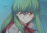  1girl bangs bishoujo_senshi_sailor_moon blush c.c. check_commentary code_geass commentary_request creayus eyebrows_visible_through_hair green_hair long_hair portrait sailor_moon_redraw_challenge sidelocks solo sweatdrop yellow_eyes 