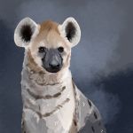  animal brown_eyes grey_background highres hyena koro_(funnycollo) original solo spotted_hyena 