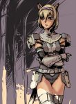  armor bad_id blonde_hair blue_eyes branch_(artist) branch_(blackrabbits) crossed_arms elbow_gloves final_fantasy final_fantasy_xi gloves hairband mithra short_hair solo tail thigh-highs thighhighs 