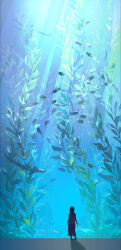  1girl aquarium arms_at_sides chinese_commentary commentary_request english_commentary facing_away fish highres light_rays looking_up mixed-language_commentary original seaweed shadow shark silhouette skirt solo tennohi 