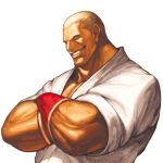  bust crossed_arms dougi fatal_fury geese_howard grin highres king_of_fighters male muscle nona official_art short_hair smile snk svc_chaos 