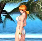  bikini braid dead_or_alive kasumi name_(nahopa!) ocean palm_tree single_braid swimsuit tree 