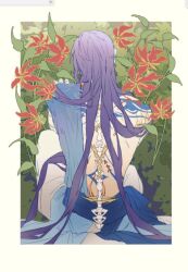  1boy art_program_in_frame blue_sash body_markings commentary_request facing_away flower from_behind gold_jewelry gymnopedies2 hand_on_own_shoulder long_hair love_and_deepspace male_focus official_alternate_costume official_alternate_hair_length official_alternate_hairstyle outdoors pants purple_hair rafayel_(love_and_deepspace) red_flower sash sitting solo topless_male waist_sash white_pants 
