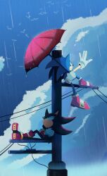  2boys furry furry_male gloves green_eyes highres holding holding_umbrella looking_at_another looking_up male_focus multiple_boys nenemyun outdoors power_lines rain red_eyes shadow_the_hedgehog sonic_(series) sonic_the_hedgehog umbrella utility_pole wet white_gloves 
