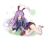 bad_company bunny_ears highres long_hair purple_hair rabbit_ears reisen_udongein_inaba skirt thighhighs touhou 