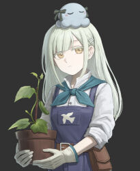  1girl bang_dream! bang_dream!_it's_mygo!!!!! blue_necktie blue_overalls chinese_commentary commentary_request cucumber green_hair grey_hair hair_ornament hairclip highres long_hair looking_at_viewer necktie octopus overalls plant potted_plant qm_dvn shirt simple_background togawa_sakiko upper_body wakaba_mutsumi white_shirt yellow_eyes 