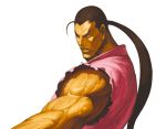  ahoge brown_hair capcom dougi hibiki_dan highres male muscle nona official_art ponytail solo street_fighter streetfighter svc_chaos 
