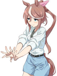  1girl absurdres animal_ears belt black_belt blue_eyes blue_shorts blush bow brown_hair closed_mouth commentary_request fuse_gomame hair_between_eyes high_ponytail highres horse_ears horse_girl horse_tail long_hair multicolored_hair ponytail shirt shorts simple_background smile solo streaked_hair tail tokai_teio_(umamusume) two-tone_hair umamusume undershirt white_background white_hair white_shirt 