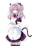  1girl alternate_costume animal_ears apron blue_eyes blush breasts cat_ears cat_tail dress eyebrows_visible_through_hair fake_animal_ears fake_tail frills hair_ornament highres hizaka kantai_collection kashima_(kantai_collection) large_breasts long_hair looking_at_viewer maid maid_apron maid_dress maid_headdress neck_ribbon puffy_sleeves red_ribbon ribbon short_sleeves silver_hair simple_background smile solo tail twintails twitter_username wavy_hair white_background 