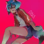  1girl animal_ears blue_hair blue_shorts brand_new_animal english_text eyebrows_visible_through_hair fang feet_out_of_frame furry hair_between_eyes highres jacket kagemori_michiru looking_at_viewer multicolored multicolored_eyes open_mouth pink_background raccoon_ears raccoon_girl raccoon_tail red_jacket shirt short_hair shorts simple_background solo tail teeth tomatomato514 tongue white_shirt 